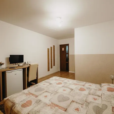 Pensiunea Alin 3*