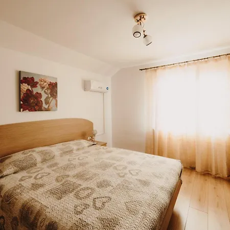 Pensiunea Alin 3*